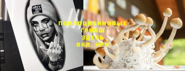 бутират Алексеевка